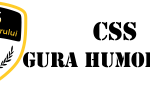 CSS GH 2